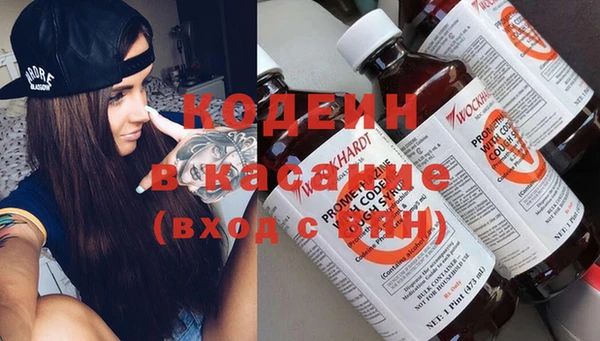 круглые Корсаков