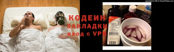 круглые Корсаков