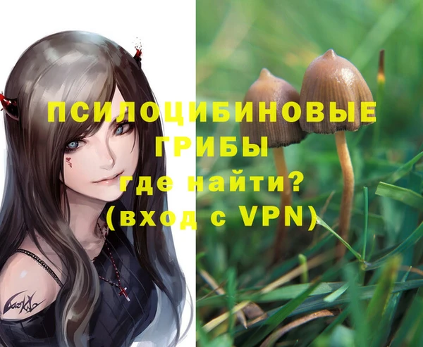 круглые Корсаков