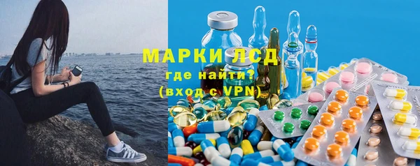 круглые Корсаков