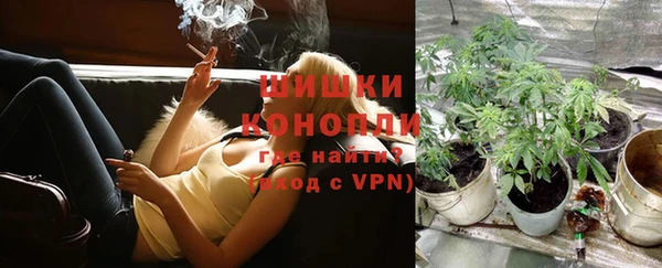 круглые Корсаков