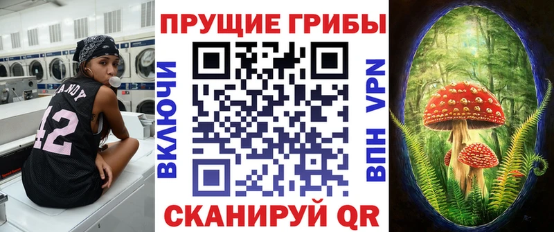 Купить закладки  Мосальск  Псилоцибиновые грибы Psilocybine cubensis 